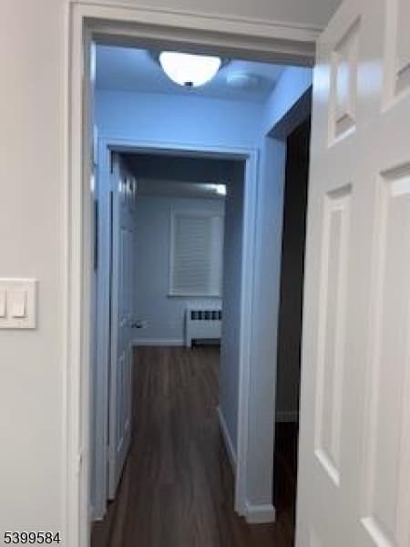 13 Carolyn Terrace, Roselle Boro, Union photo 8