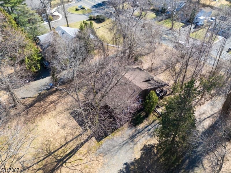 519 Terrill Rd, Fanwood Boro, Union photo 5