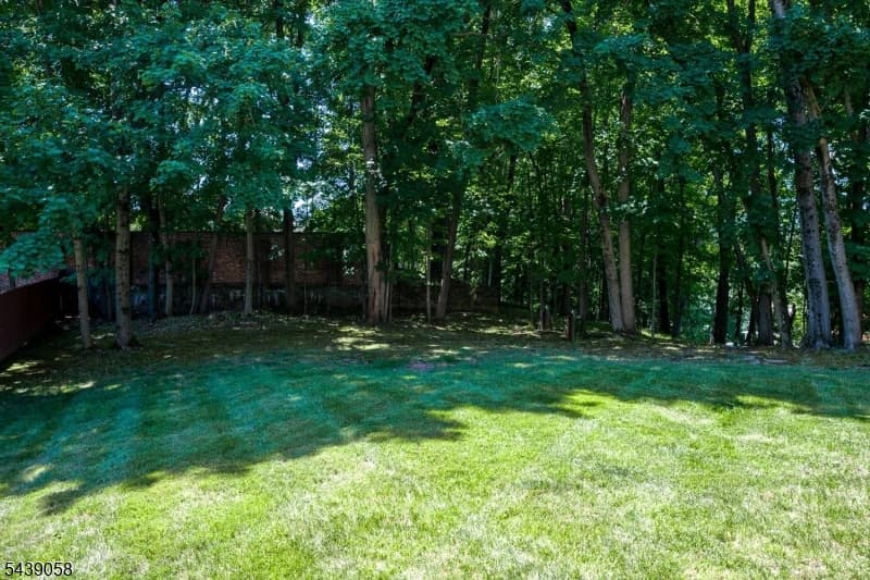 741 Belvidere Ave, Plainfield City, Union photo 24