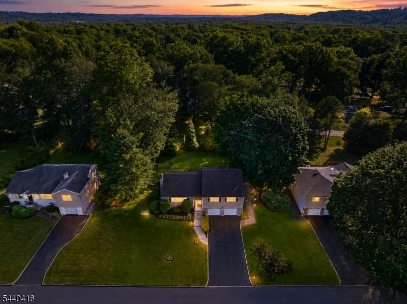 42 Sherwood Dr, New Providence Boro, Union photo 24
