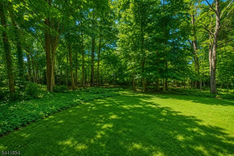 71 Willoughby Rd, Fanwood Boro, Union photo 5