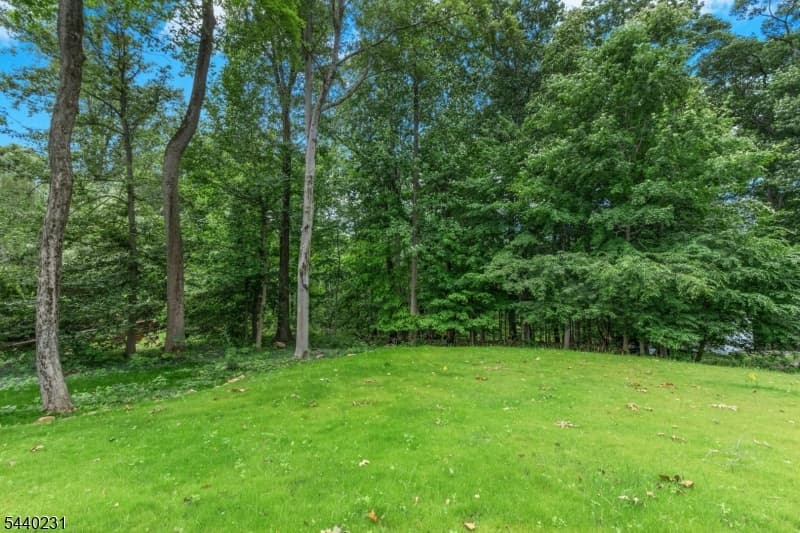 155 Dogwood Ln, Berkeley Heights Twp., Union photo 49