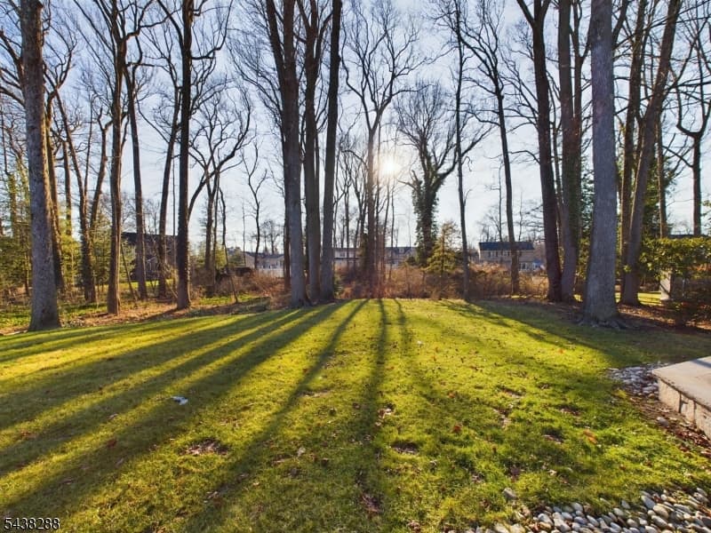 301 Garrett Rd, Mountainside Boro, Union photo 42