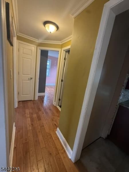211 Bradford Ave, Linden City, Union photo 21