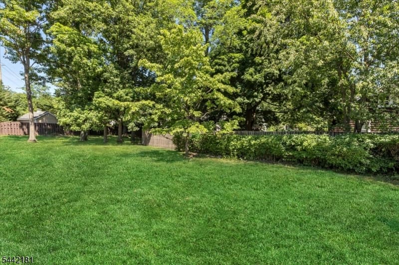 374 South Ave, Fanwood Boro, Union photo 37