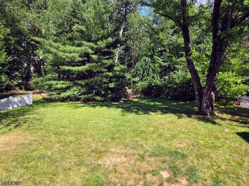 137 Passaic Ave, Summit City, Union photo 34