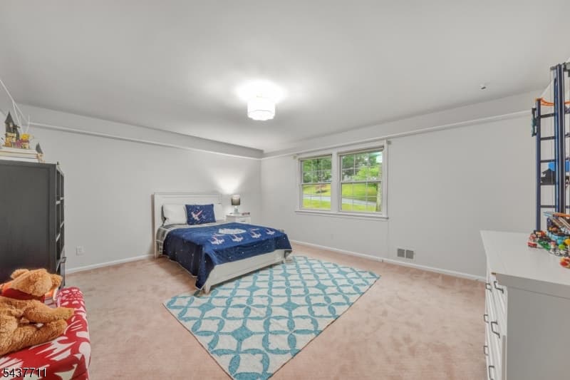 18 Kings Hill Ct, Summit City, Union photo 30