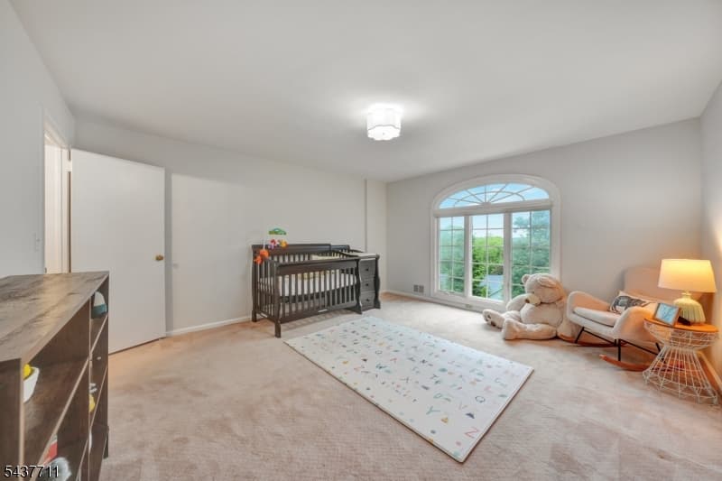 18 Kings Hill Ct, Summit City, Union photo 31
