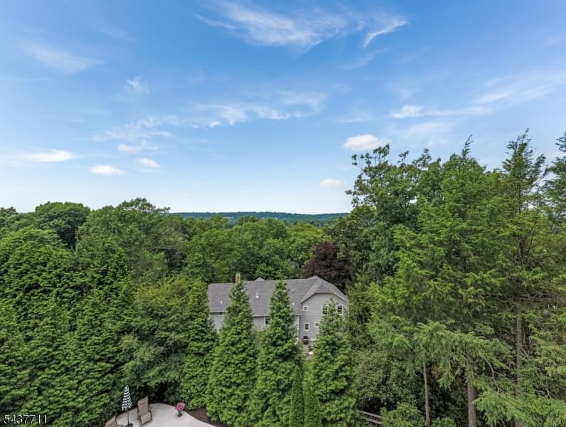 18 Kings Hill Ct, Summit City, Union photo 50