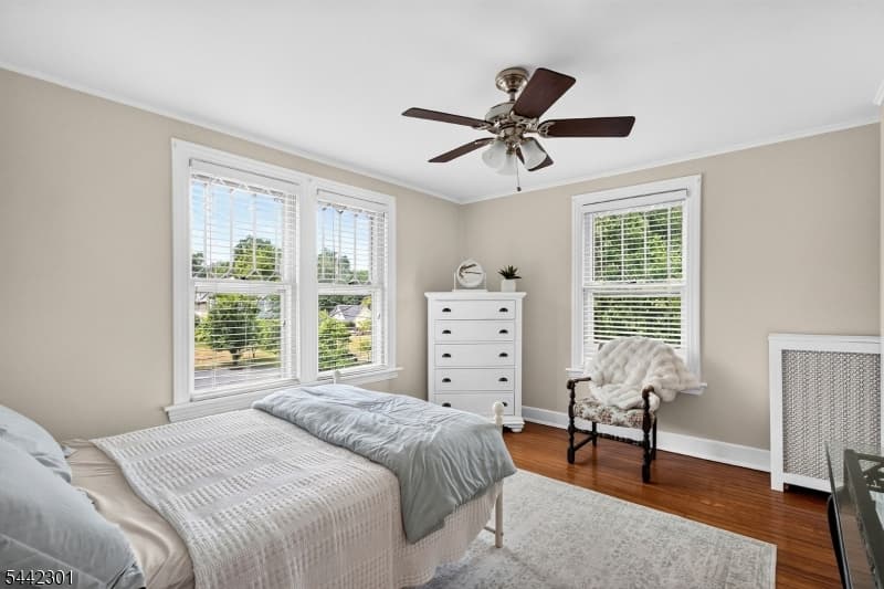 2 Russell Rd, Fanwood Boro, Union photo 22