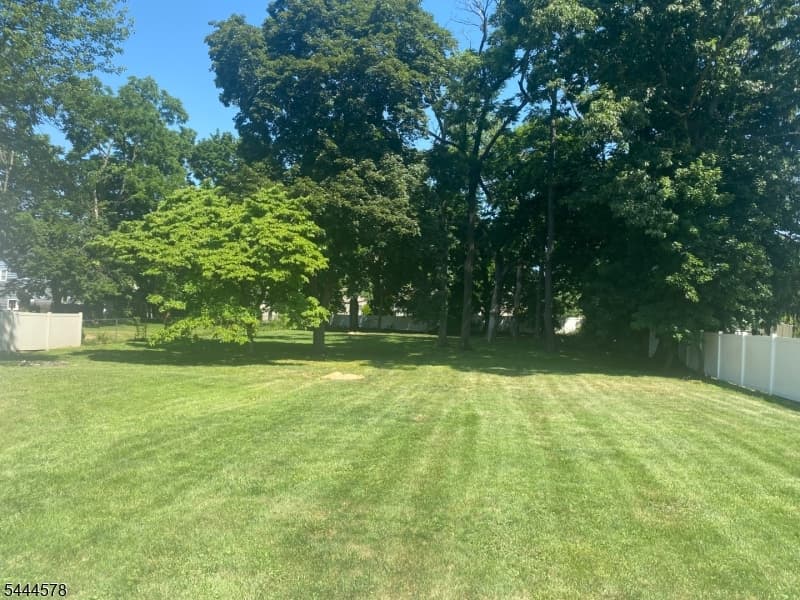1385 Belleview Ave, Plainfield City, Union photo 6
