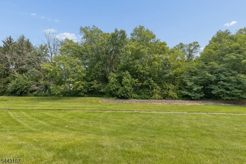 44 Lancelot Drive, Berkeley Heights Twp., Union photo 29