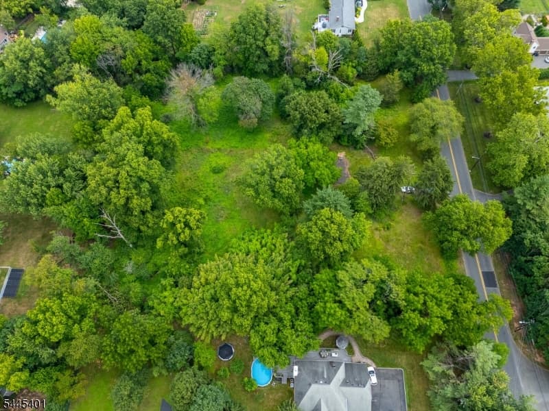 1139 Raritan Rd, Scotch Plains Twp., Union photo 11