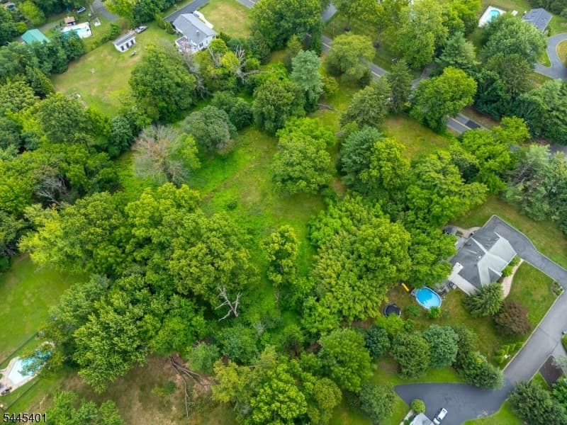 1139 Raritan Rd, Scotch Plains Twp., Union photo 16