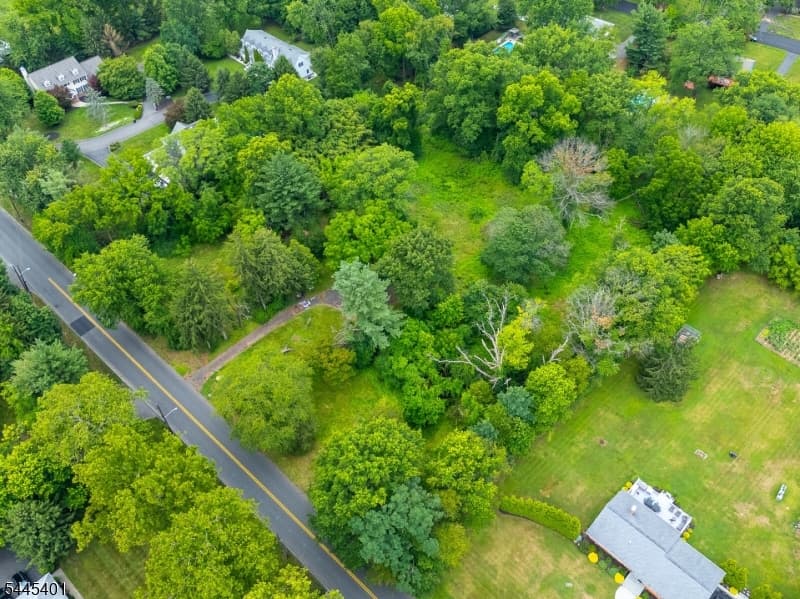 1139 Raritan Rd, Scotch Plains Twp., Union photo 5