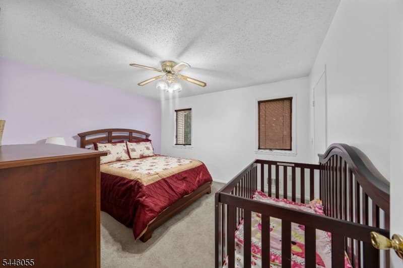668 Jackson Ave, Roselle Boro, Union photo 15