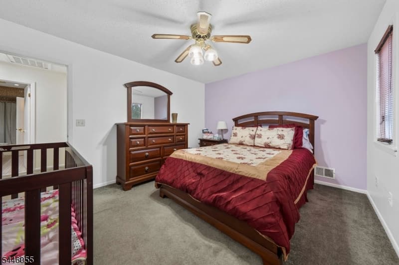 668 Jackson Ave, Roselle Boro, Union photo 16