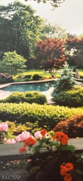 932 Cedar Brook Rd, Plainfield City, Union photo 30