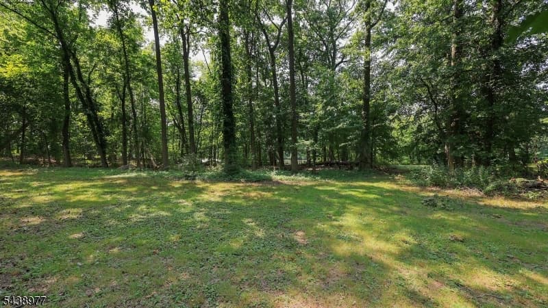 11 Munsee Dr, Cranford Twp., Union photo 40