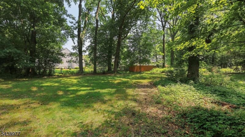 11 Munsee Dr, Cranford Twp., Union photo 41
