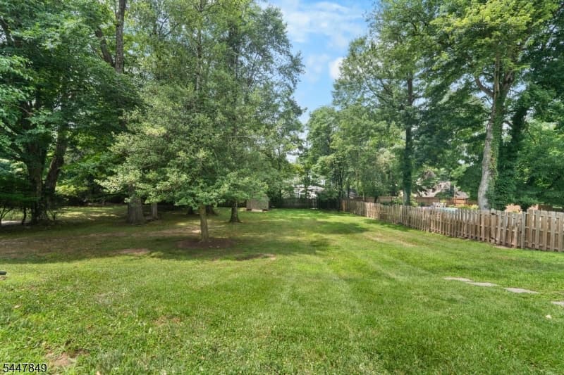 950 Belvidere, Plainfield City, Union photo 48