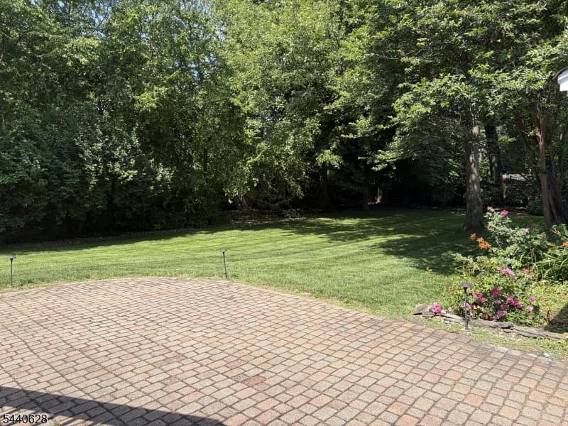 559 Parkview Ave, Westfield Town, Union photo 4