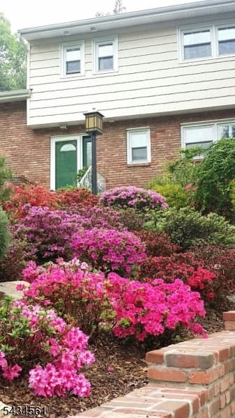 340 Central Ave, Mountainside Boro, Union photo 21
