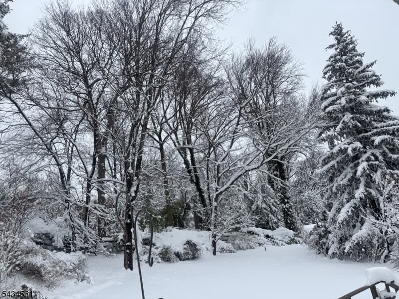 340 Central Ave, Mountainside Boro, Union photo 22