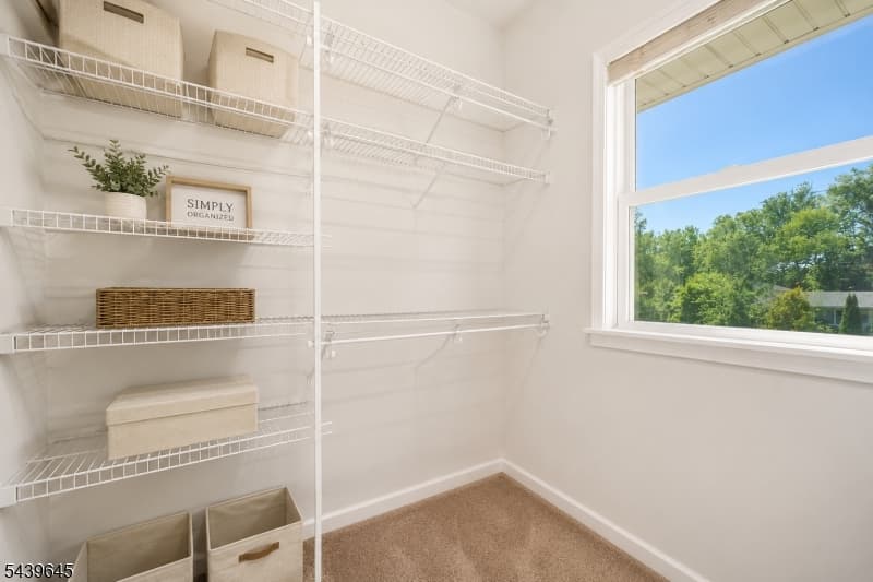 6 Woodbine Cir, New Providence Boro, Union photo 31