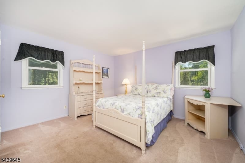 6 Woodbine Cir, New Providence Boro, Union photo 34