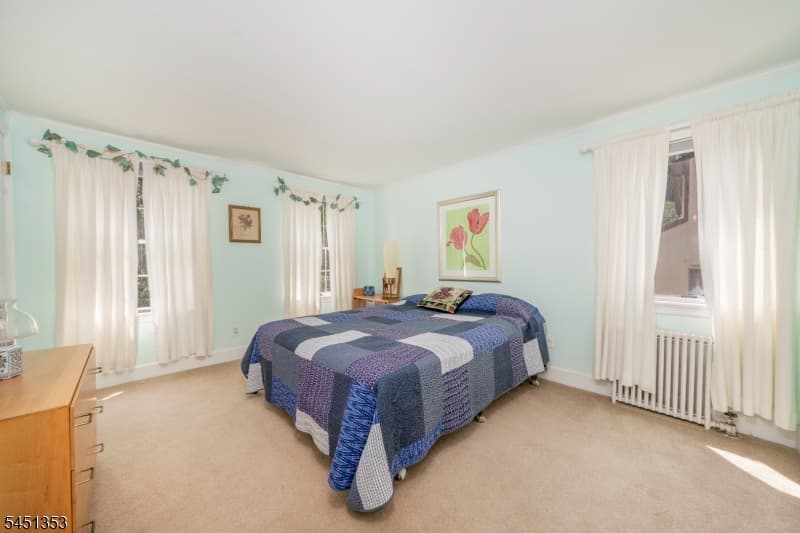 14 Brook Ct, Summit City, Union photo 26