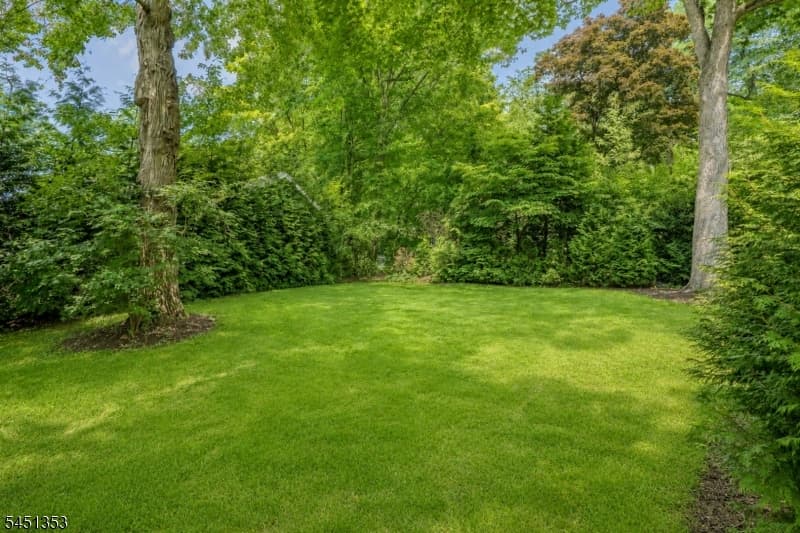 14 Brook Ct, Summit City, Union photo 6