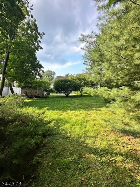 867 North Ave, Westfield Town, Union photo 4