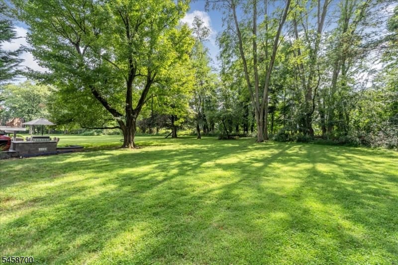 6 Donsen Ln, Scotch Plains Twp. photo 36