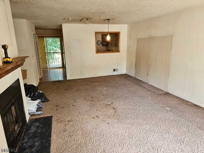 59 Woodland Dr, Roselle Boro photo 5