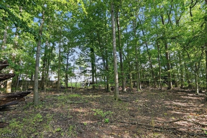 17 Blake Dr, Clark Twp. photo 47