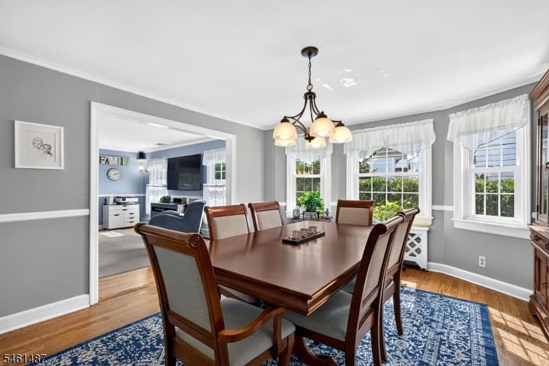 11 Indian Spring Rd, Cranford Twp. photo 5