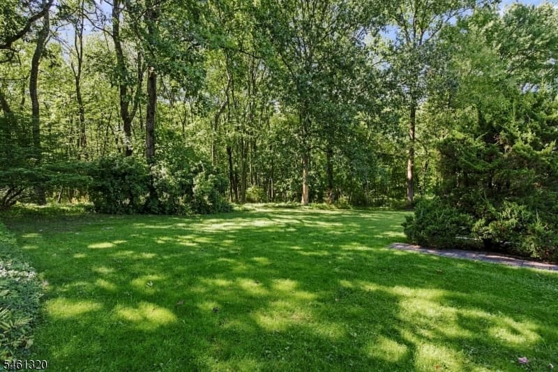 87 Orion Rd, Berkeley Heights Twp. photo 25