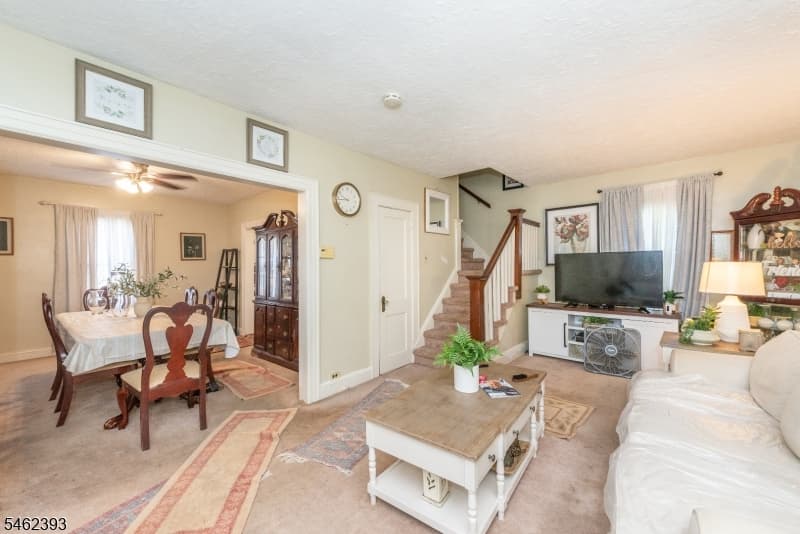 117 Grace St, Roselle Boro photo 3