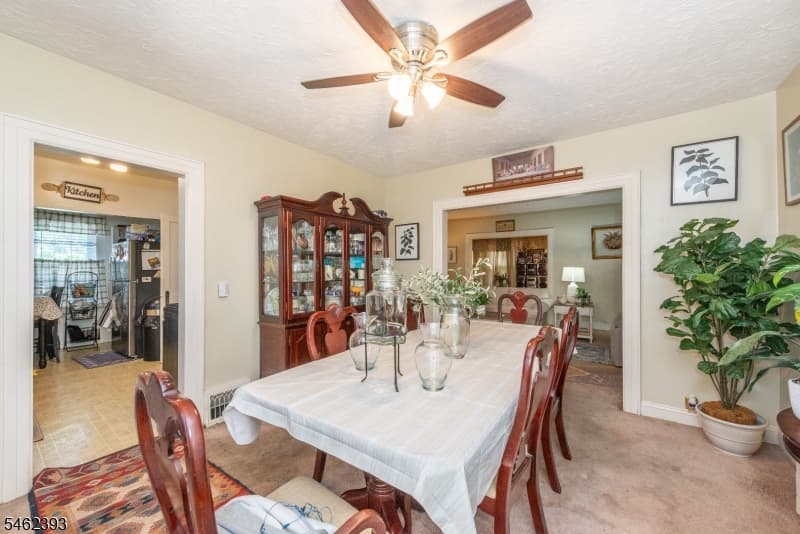 117 Grace St, Roselle Boro photo 5