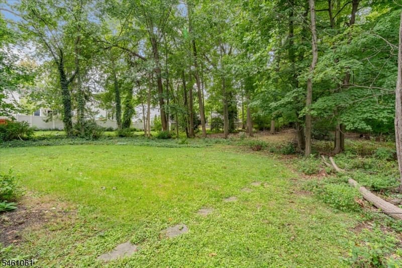 71 Willoughby Road, Fanwood Boro photo 37
