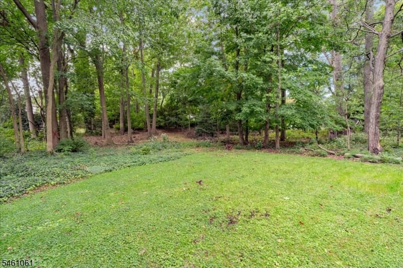 71 Willoughby Road, Fanwood Boro photo 38