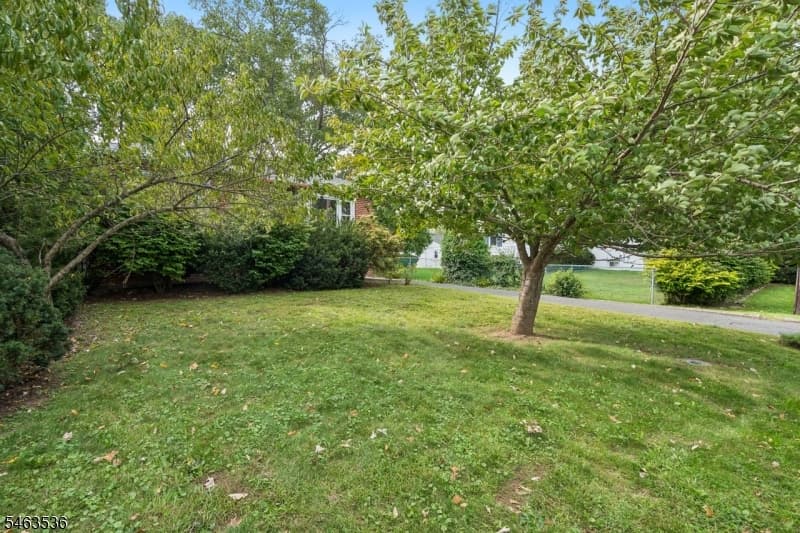 65 Marion Ave, New Providence Boro photo 17