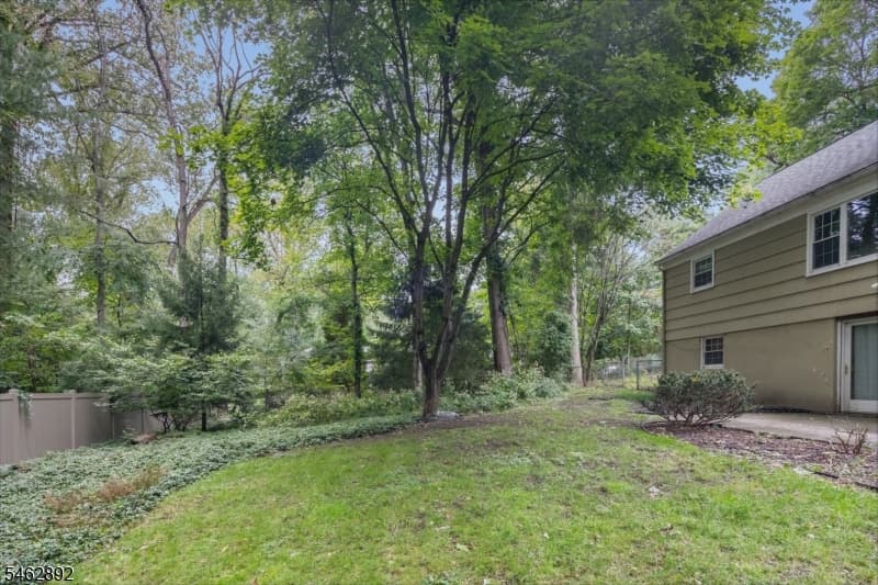 119 Division Ave, New Providence Boro photo 30