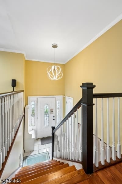 564 Mountain Ave, Springfield Twp. photo 5