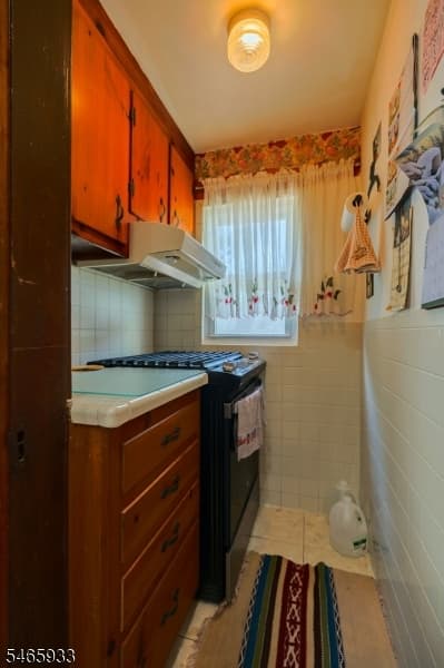 925 Summit Street, Linden City photo 13