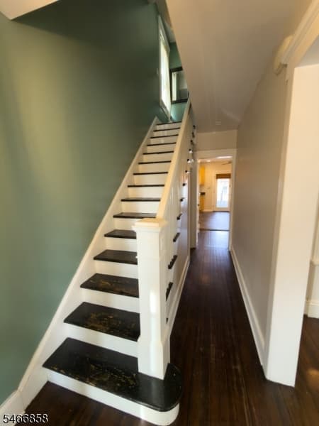 107 Sheridan Ave, Roselle Park Boro photo 23