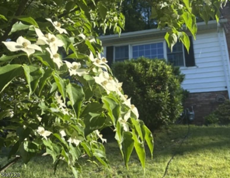 9 Harrison Ct, Summit City photo 30