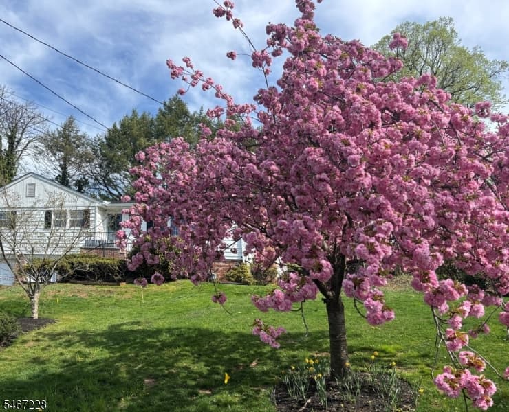9 Harrison Ct, Summit City photo 31