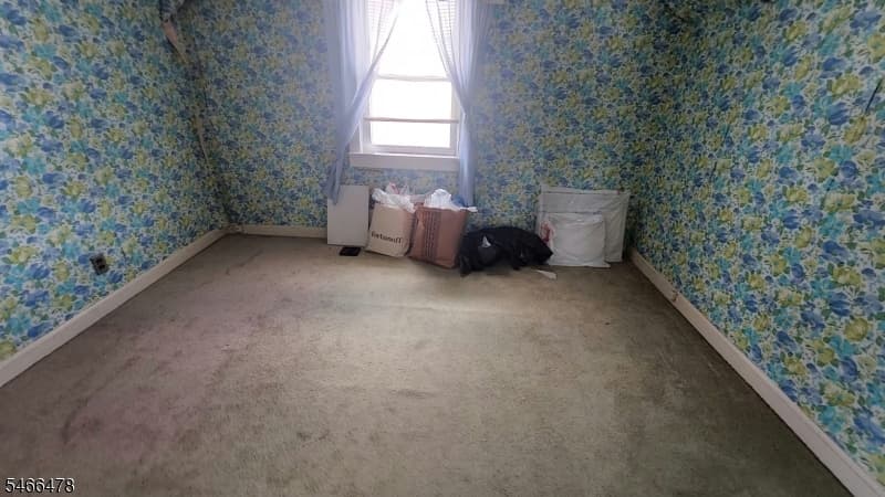509 Thompson Ave, Roselle Boro photo 16